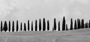 why italy is the ultimate destination for luxury wedding films